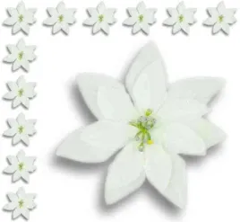 poinsecja-glowka-white-gwiazda-betlejemska-12-szt