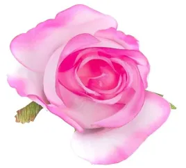 roza-w-paku-glowka-pink