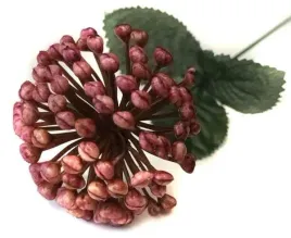 czosnek-galazka-kwitnaca-trawka-dk-mauve-pink