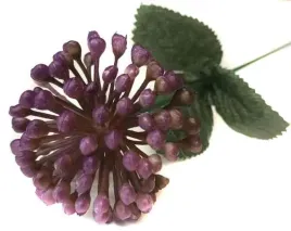 czosnek-galazka-kwitnaca-trawka-violet-lilac