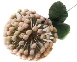 czosnek-galazka-kwitnaca-trawka-cream-beige