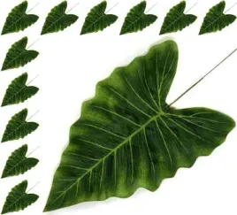 lisc-anturium-green-liscie-12-szt