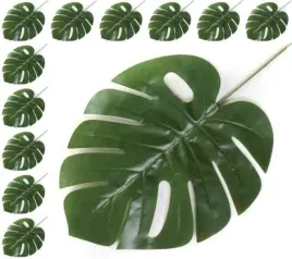 lisc-philo-liscie-filodendron-monstera-latex-green