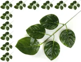 lisc-magnolia-galazka-green-12-szt
