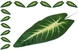 lisc-anturium-dk-green-white-liscie-12-szt