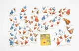 lucrum-games-odfrunelo-z-wiatrem-material-karton-plastik-drewno-guma