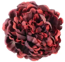 peonia-glowka-15-cm-piekny-kwiat-burgund