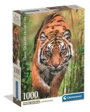 puzzle-1000-el-compact-the-hunters-path-tygrys-clementoni