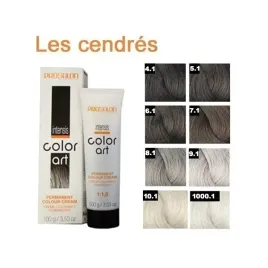 chantal-farba-prosalon-intensis-color-art-100g