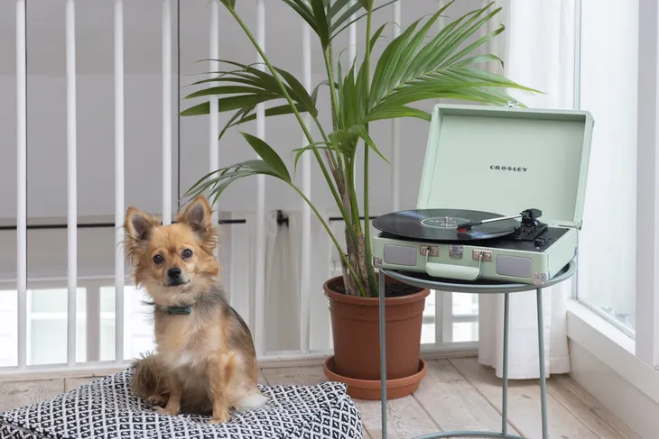 gramofon-winylowy-cruiser-plus-mint-szerokosc-produktu-35-5-cm