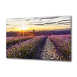 obraz-na-szkle-natura-86334409-140x70
