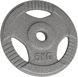 physionics-obciazenie-zeliwne-5-kg-31-mm