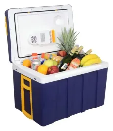 box-chlodzacy-50-l-mobilna-230v-12v