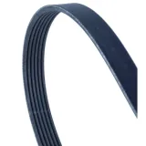 contitech-pasek-wielorowkowy-6pk1019elast-producent-czesci-inny