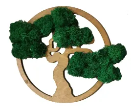 obraz-drzewo-bonsai-mech-dekoracyjny-chrobotek-40