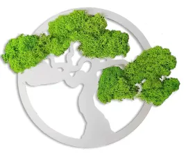 obraz-drzewo-bonsai-mech-dekoracyjny-chrobotek-40