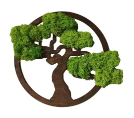 obraz-drzewo-bonsai-mech-dekoracyjny-chrobotek-25