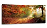 obraz-pomost-panorama-100x40-obrazy-na-plotnie