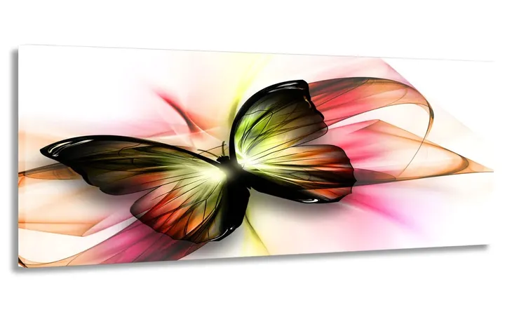 obraz-panorama-motyl-100x40-na-plotnie