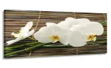 obraz-panorama-orchidea-bambusy-100x40-na-plotnie