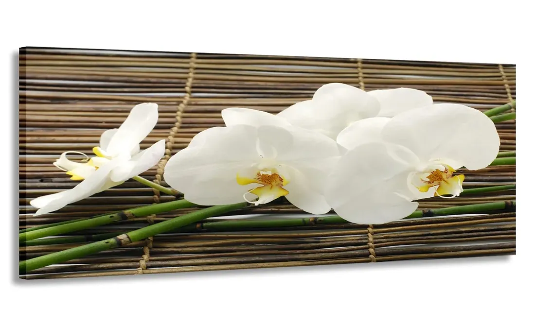 obraz-panorama-orchidea-bambusy-100x40-na-plotnie