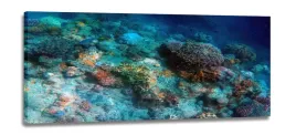 obraz-rafa-koralowa-obrazy-canvas-120x50
