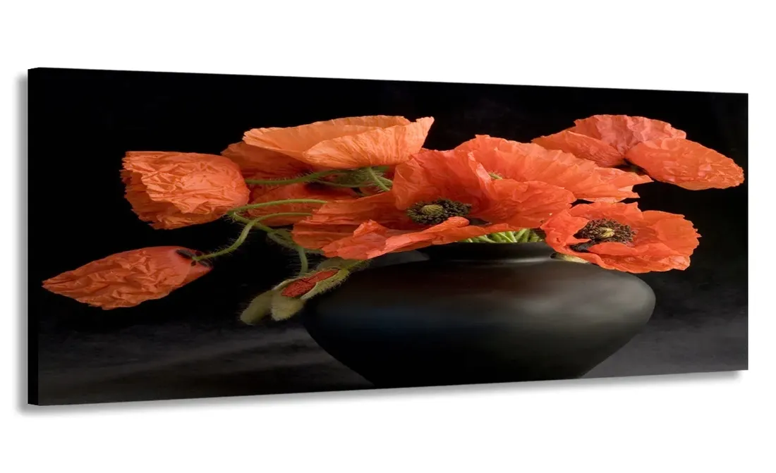 obraz-panorama-maki-120x50-na-plotnie