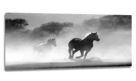 obraz-led-lampka-kinkiet-120x50-konie-kon