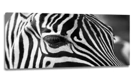 obraz-led-lampka-kinkiet-120x50-zebra-paski