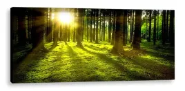 obraz-led-120x50-podswietlany-sloneczny-blask