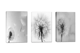 obraz-120x60-komplet-3el-dmuchawce-kwiaty