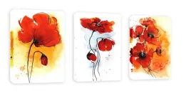 obraz-120x60-komplet-3el-maki-kwiaty