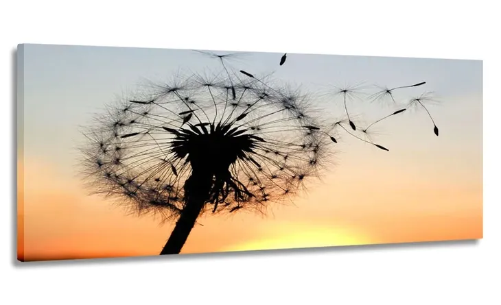 obraz-panorama-dmuchawiec-150x60-na-plotnie