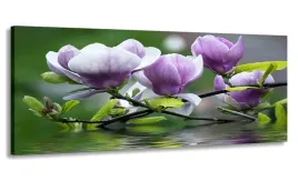 obraz-panorama-kwiaty-magnolie-150x60-do-salonu
