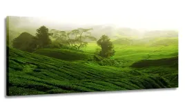 obraz-panorama-zielona-laka-170x70-na-plotnie