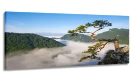 obraz-panorama-pieniny-sokolica-170x70-na-plotnie