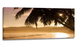 obraz-palma-panorama-170x70-obrazy-na-plotnie