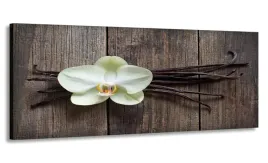 obraz-170x70-kwiat-na-deskach-wielki-do-salonu
