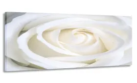 obraz-170x70-kremowa-roza-wielki-do-salonu