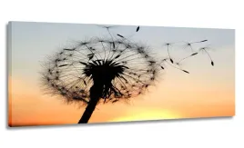 obraz-panorama-dmuchawiec-170x70-na-plotnie