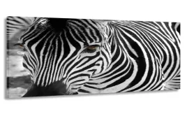 obraz-170x70-zebra-wielki-do-salonu