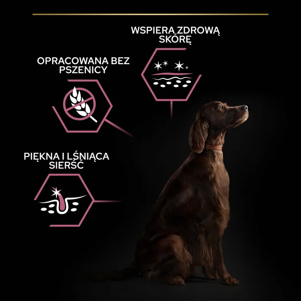 sucha-karma-purina-pro-plan-losos-14-kg-marka-purina-wiek-zwierzecia-psy-dorosle