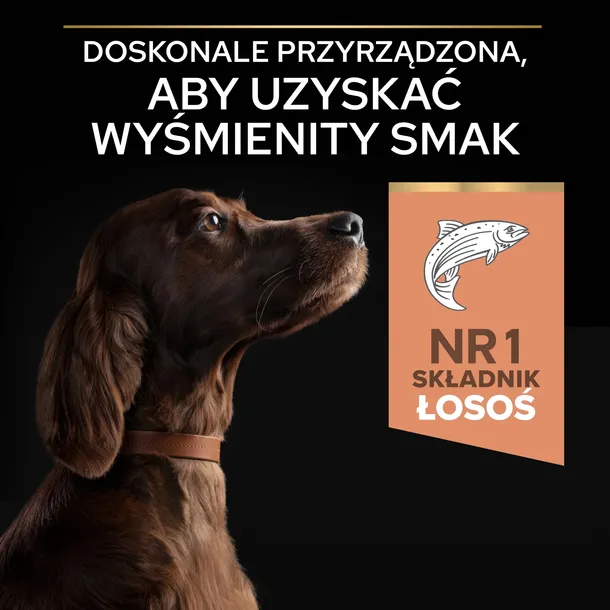 sucha-karma-purina-pro-plan-losos-14-kg-marka-purina-smak-losos