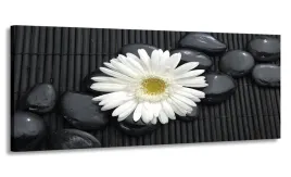 obraz-170x70-bialy-kwiaty-wielki-do-salonu