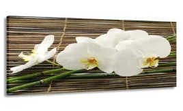 obraz-170x70-orchidea-bambusy-wielki-do-salonu