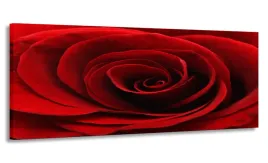 obraz-170x70-kwiaty-roza-wielki-do-salonu