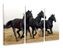 obraz-tryptyk-konie-tryptyki-90x50