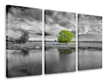 obraz-tryptyk-widok-widoki-tryptyki-90x50