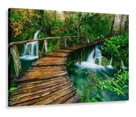 obraz-do-salonu-pomost-kladka-las-120x80