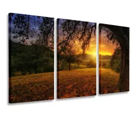 obraz-zachod-slonca-pole-obrazy-tryptyk-120x80